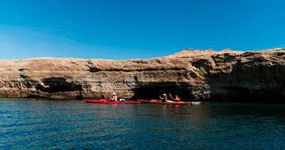 Paseo en Kayak con avistaje de lobos marinos